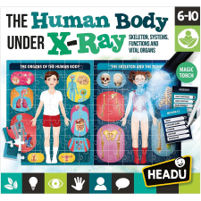 Headu : Az emberi test röntgen alatt logikai puzzle (EN22762) kreatív és készségfejlesztő