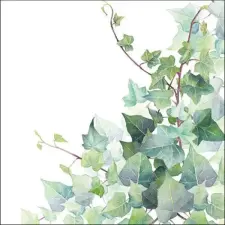  Hedera White papírszalvéta 33x33cm, 20db-os konyhai eszköz
