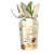 Heidi desszert flower cappuccino - 120g