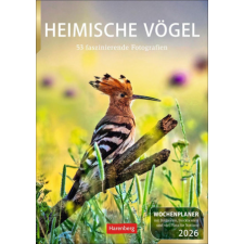 Heimische Vögel Wochenplaner 2026 - 53 faszinierende Fotografien naptár, kalendárium