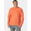 Helly Hansen Skog Graphic Ls Tee D