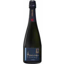 Henri Giraud Hommage au Pinot Noir 0,75l 12% bor