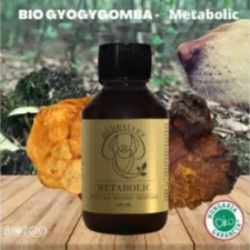  HerbalVet Bio Gyógygomba kutyáknak - Metabolic 100 ml vitamin, táplálékkiegészítő kutyáknak