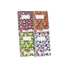 Herlitz : 3.oszályos vonalas füzet, fiús mintával, A5/12-32 - többféle füzet