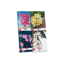 Herlitz x.book: Flower 32 lapos A4 sima füzet - Többféle füzet