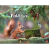 Heye Kalender Vadim Trunov: Märchenhaftes Waldleben Posterkalender 2027 | Vadim Trunov