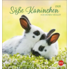 Heye Süße Kaninchen Postkartenkalender 2026 (Naptár/Határidőnapló)