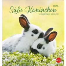 Heye Süße Kaninchen Postkartenkalender 2026 (Naptár/Határidőnapló) naptár, kalendárium