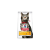 Hill's Hills SP Feline Adult Urinary Chicken 1,5kg