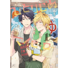 Hitorijime My Hero 12 idegen nyelvű könyv