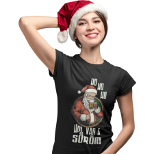 Ho ho Hol van a söröm? - Karácsonyi Női Póló női póló