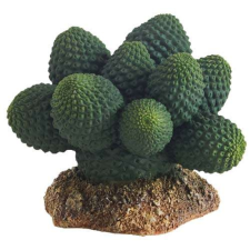  HOBBY Kaktusz Atacamma 7 cm hüllőfelszerelés