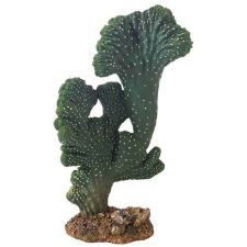 HOBBY Kaktusz Victoria 22cm hüllőfelszerelés