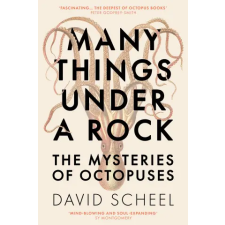 Hodder &amp; Stoughton Many Things Under a Rock | David Scheel egyéb könyv