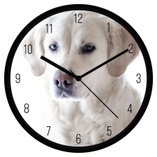  Hófehér labrador falióra falióra