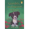 Holly Webb Gombóc, az elhagyatott kiskutya