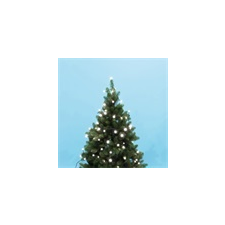 Home by Somogyi KII 50/WH LED-es beltéri fényfüzér, hidegfehér, 50 LED karácsonyfa izzósor