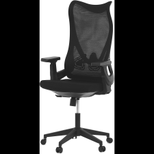 HOMEPRO Gaius, fekete (KA-S248 BK) forgószék