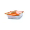  Hópelyhes Antarktisz fagyasztó doboz, narancs tetővel, 600 ml-es - Tupperware