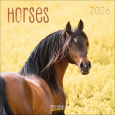 Horses 2026 naptár, kalendárium