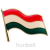 Hunbolt Magyar zászló (22 mm) kitűző