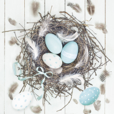 Húsvét Pastel Blue Natural Nest szalvéta 20 db-os 33x33 cm party kellék