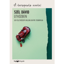 HVG Könyvek Útközben - Egy életközepi válság Skype-terápiája /A terapeuta esetei társadalom- és humántudomány