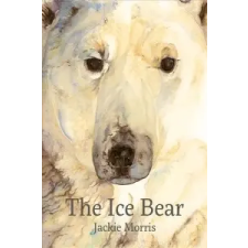  Ice Bear – Jackie Morris idegen nyelvű könyv