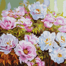 IDEYKA : Festés számok szerint, Pünkösdi rózsák - 50 x 50 cm kreatív és készségfejlesztő