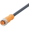 ifm Electronic EVC710 Csatlakozóvezeték Alj, egyenes 50 m Pólusszám: 5 1 db (EVC710)