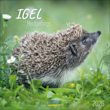  Igel 2026 naptár, kalendárium