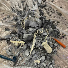  Ikonka Vulkánkitörés 2in1 kísérlet + dinoszaurusz oktatójáték