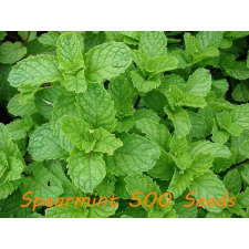  Illóolaj Pipere Fodormenta 10ml illóolaj