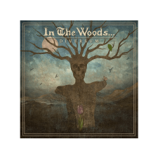  In The Woods... - Diversum (Blue Vinyl) (Vinyl LP (nagylemez)) heavy metal