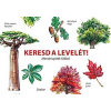  INCA STARZINSKY - KERESD A LEVELÉT!  MEMÓRIAJÁTÉK FÁKKAL