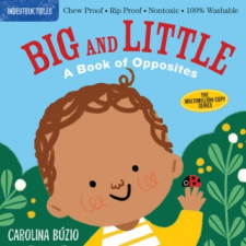 Indestructibles: Big and Little – Carolina Buzio idegen nyelvű könyv