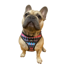  Indián komfort kutyahám nyakörv, póráz, hám kutyáknak