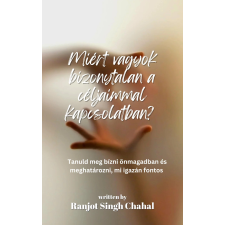 Inkwell Press Miért vagyok bizonytalan a céljaimmal kapcsolatban? egyéb e-könyv