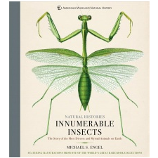  Innumerable Insects – MICHAEL S. ENGEL idegen nyelvű könyv