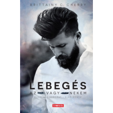 Insomnia Lebegés regény