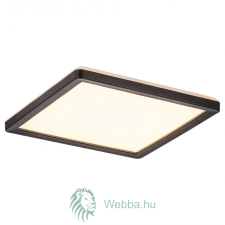  Intelligens LED mennyezeti lámpa Inverness, 15W, 1190lm világítás