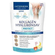 Interherb Kollagén Hyaluronsav italpor - protect 290g vitamin és táplálékkiegészítő
