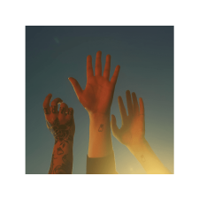 INTERSCOPE Boygenius - The Record (Vinyl LP (nagylemez)) alternatív