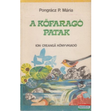 Ion Creanga Könyvkiadó, Bukarest A kőfaragó patak - Karcsi regénye gyermek- és ifjúsági könyv