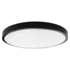  IP44 mennyezeti LED lámpatest - kör (36W/3820lm) hideg fehér, fekete (350 mm)