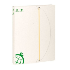 Iratgyűjtő BOX A/4 Ico Green 50 mm naptár, kalendárium
