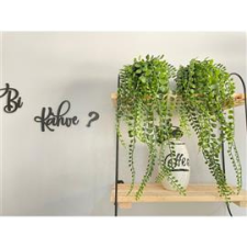 IRIS E5835 dekoráció művirággal cserépben 16x35cm (IRIS_E5835) dekorációs kellék