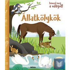  Ismerd meg a világot! - Állatkölykök gyermek- és ifjúsági könyv