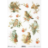 ITD Collection Rizspapír A4 - Madarak tavasszal