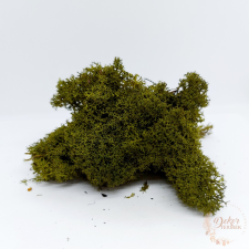  Izlandi zuzmó dekorációs kellék